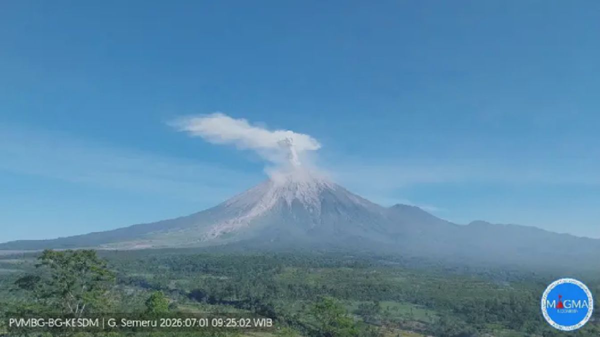 Gunung Semeru Erupsi, Pemerintah Siapkan 100.000 Kuota Magang