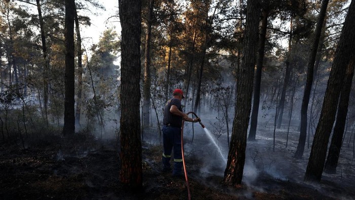 Kebakaran Hutan Dekati Permukiman, Petugas Berpacu Jinakkan Kobaran Api