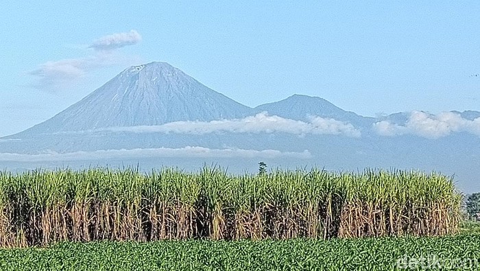 Gunung Semeru Kembali Erupsi Tiga Kali, Kolom Abu Vulkanik Mencapai 900 Meter