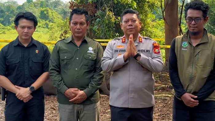 Olah TKP Kematian Gajah Indro Gunakan Pendekatan Ilmiah Forensik