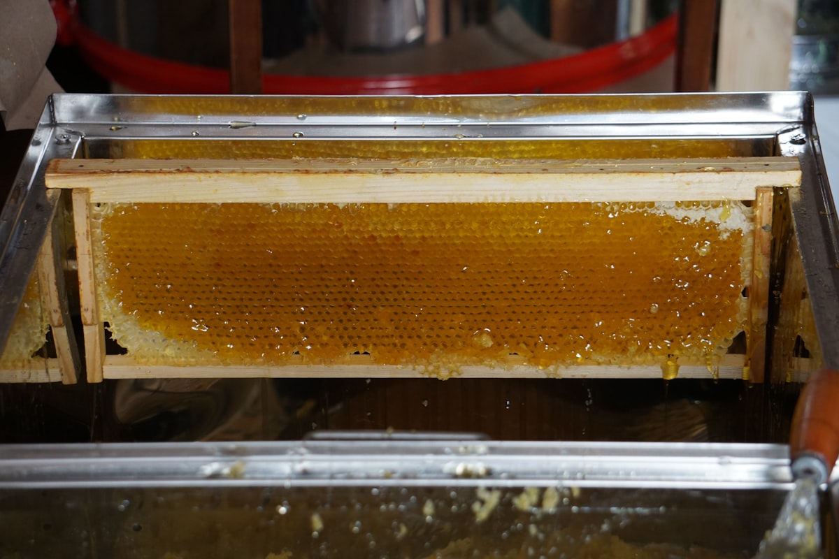 Metode Pengolahan Kopi: Memahami Natural, Washed, dan Honey Process untuk Menyelami Cita Rasa Sejati
