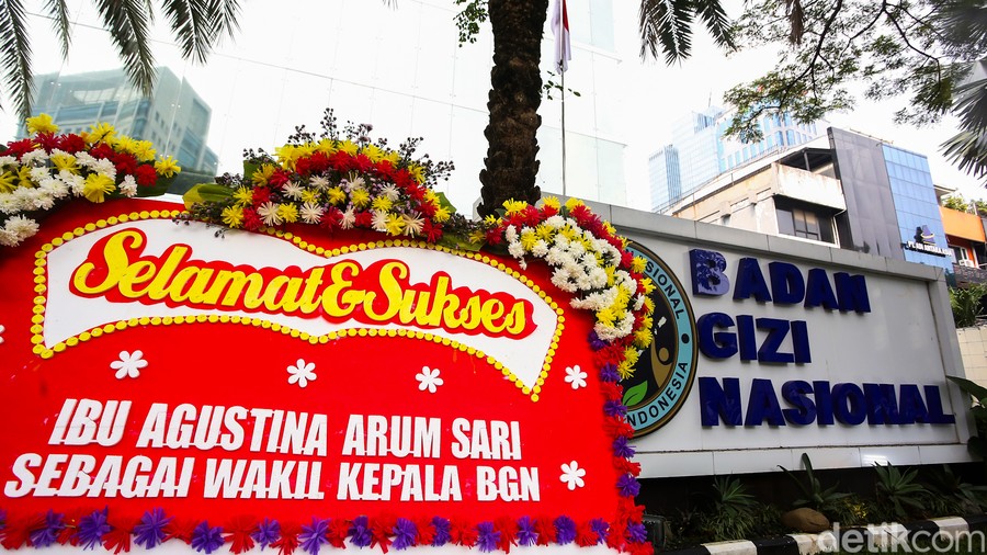 Pagu Anggaran BGN Rp 270 Triliun Dinilai Terlalu Besar, DPR Dorong Penyusunan Ulang