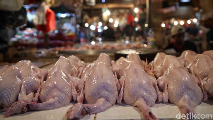 Harga Ayam di Pasar Ikut Anjlok, Sentuh Rp 35.800 per Kg