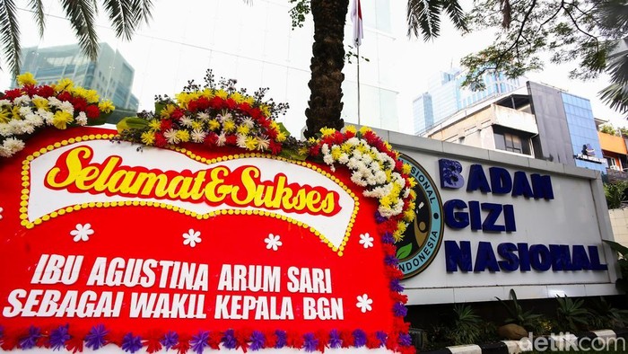 Pagu Anggaran BGN Rp 270 Triliun, DPR Minta Susun Ulang