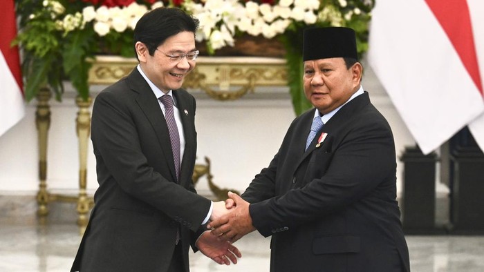 BPI Danantara Ditugaskan Prabowo Realisasikan Ekspor Listrik ke Singapura
