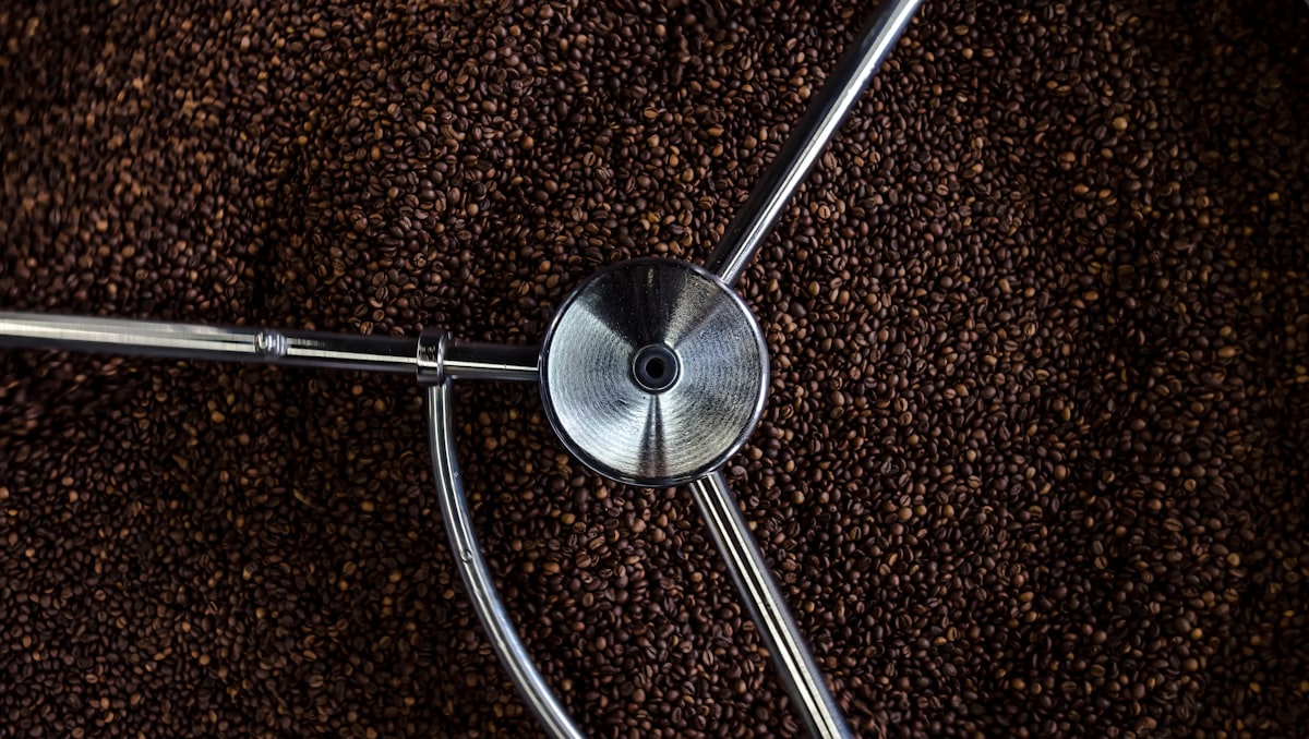 Mengungkap Misteri Secangkir Kopi Melalui Flavor Wheel