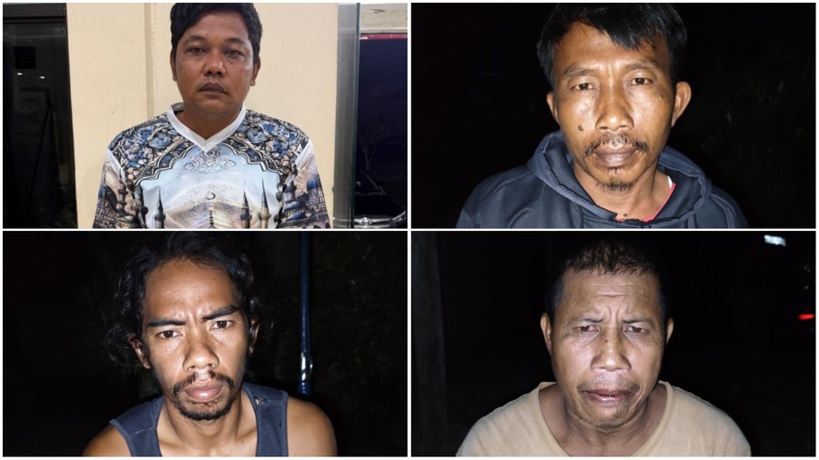 Empat Pelaku Pembunuhan Tapir di Lampung Ditangkap, Daging Satwa Dilindungi Diolah Jadi Rica-rica