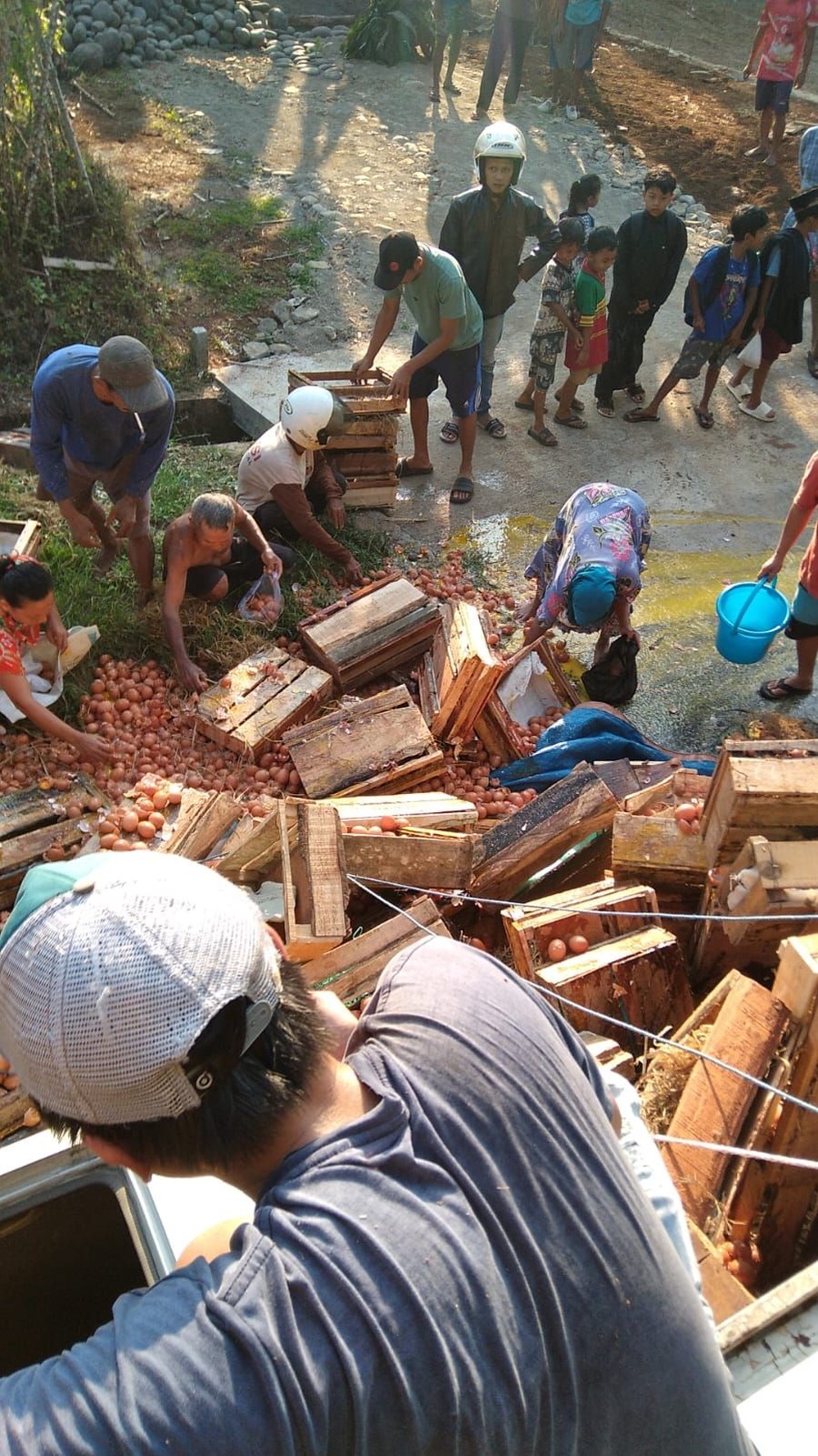 Viral Truk Angkut Telur di Purbalingga Dijarah Warga Usai Kecelakaan