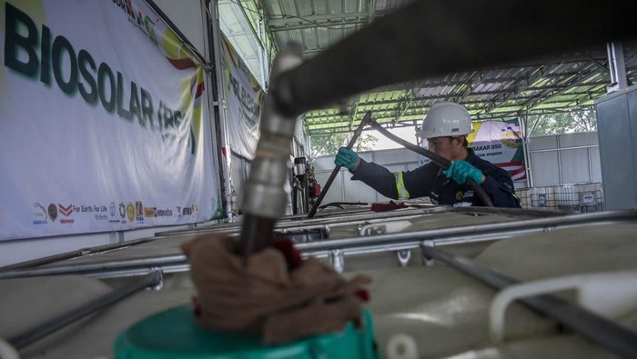 B50 Mulai 1 Juli Diklaim Aman untuk Stok Minyak Goreng, ESDM Beri Jaminan Pasokan