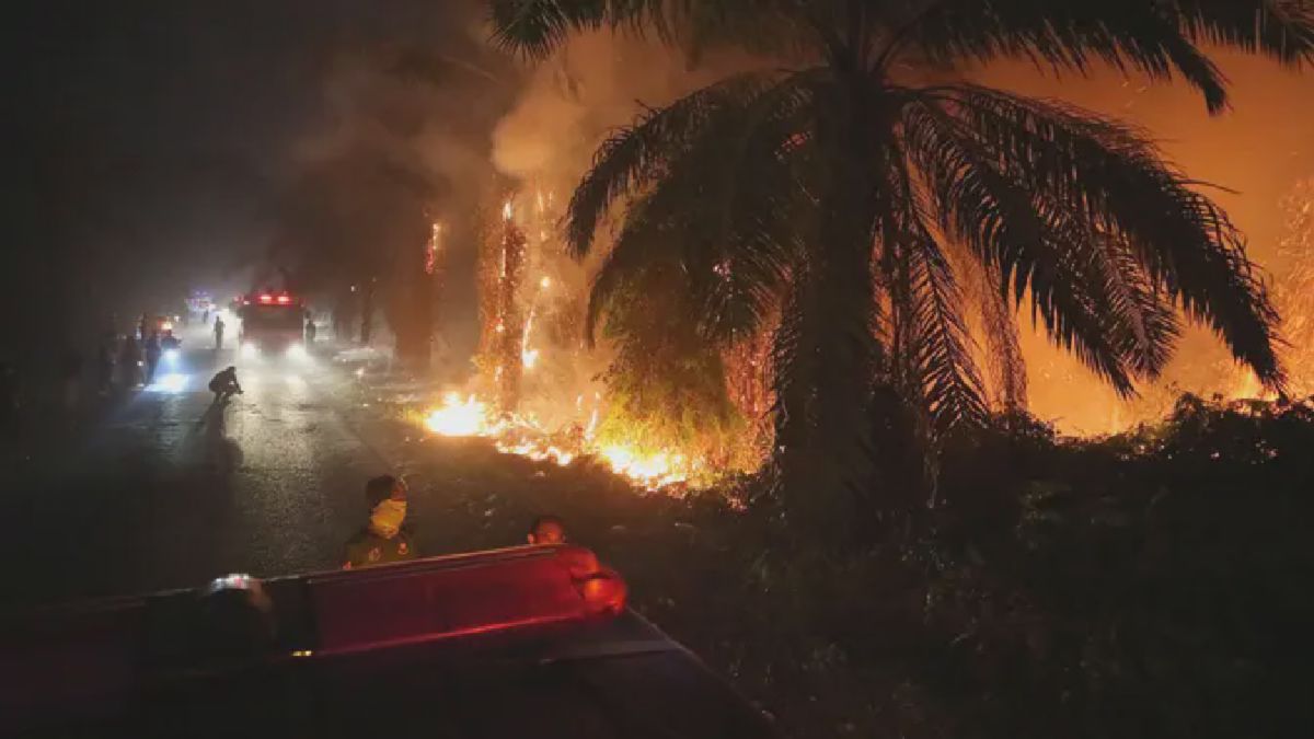 Gambut Terbakar di Sampit, Aktor Revaldo Fifaldi Resmi Jadi Tersangka