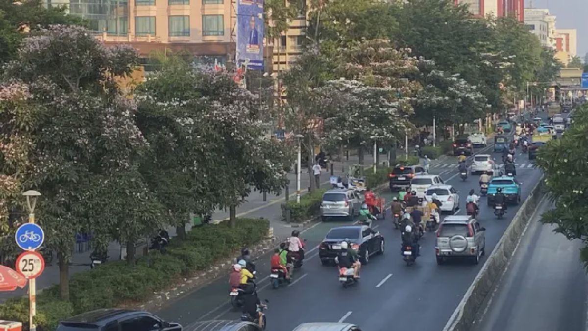 Bunga Tabebuya Mekar di Jakarta, Prabowo Resmikan PLTS 100 GWp