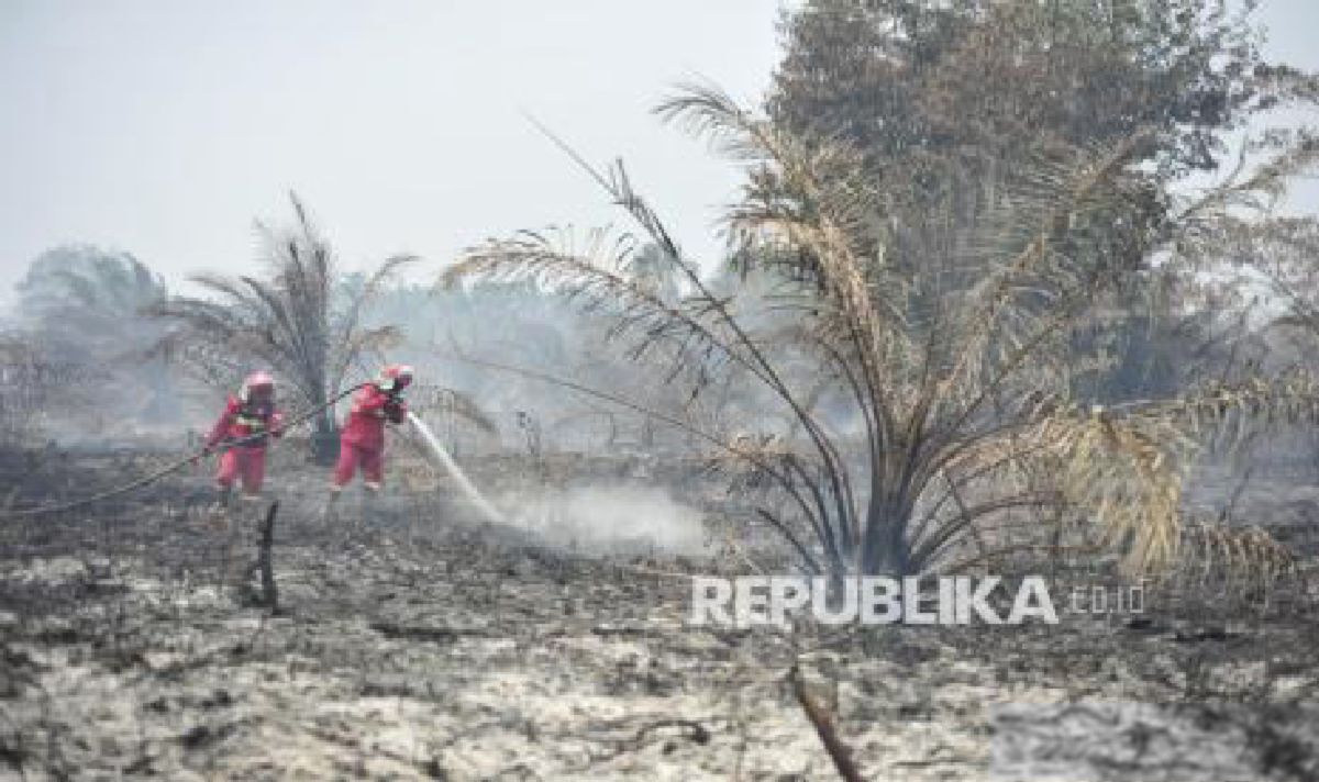 180 Hotspot Muncul di Kalsel, Kemenhut Terapkan Strategi Berlapis Karhutla