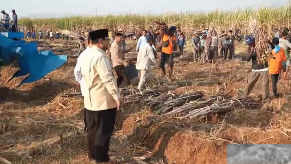 Panglima TNI Lapor Hasil Panen ke Prabowo, KEK Kendal Tambah 1.000 Hektare