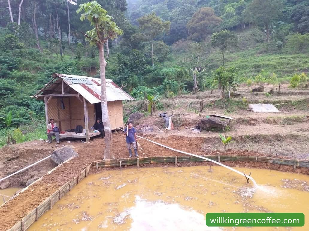 Harga Bersaing Kualitas Premium: Bagaimana Willkin Green Coffee Menjaga Transparansi Harga