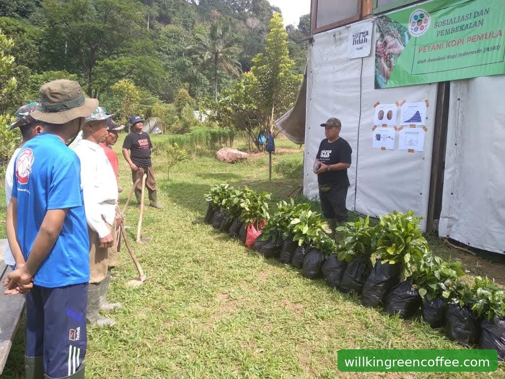 Potensi Ekspor Kopi Indonesia 2026 dan Peran Willkin Green Coffee