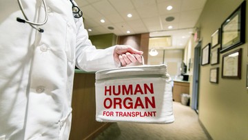 Viral Mendadak Muncul Lampu Hijau di RS Ini, Ternyata Penghormatan untuk Donor Organ