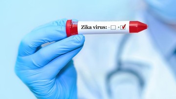 Ramai CDC AS Keluarkan Travel Alert soal Zika di Bali, Ini Bantahan Kemenkes RI